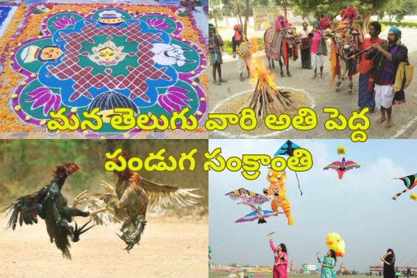 Sankranti