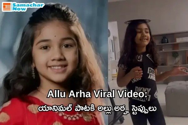 Allu Arha Viral Video: యానిమల్ పాటకి అల్లు అర్హ స్టెప్పులు