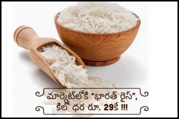 Bharat Rice at Rs 29: భారత్ రైస్ కిలో ₹29కే.. వచ్చే వారం నుంచే రిటైల్ విక్రయాలంటున్న ప్రభుత్వం