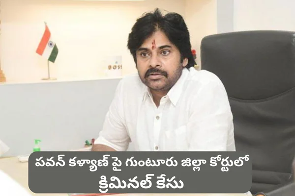 Criminal Case on Pawan Kalyan: పవన్ కళ్యాణ్ పై గుంటూరు జిల్లా కోర్టులో క్రిమినల్ కేసు పెట్టిన వైసీపీ ప్రభుత్వం!