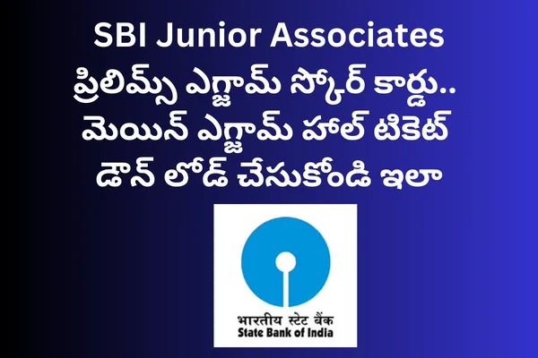 SBI Junior Associates