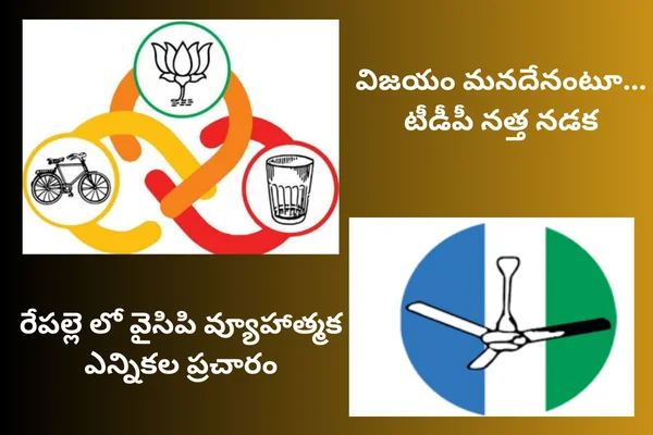 Repalle Constancy: రేపల్లె లో వైసిపి వ్యూహాత్మక ఎన్నికల ప్రచారం.. విజయం మనదేనంటూ టీడీపీ నత్త నడక!