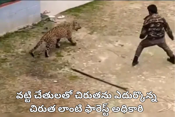 Brave Forest Officer: కశ్మీర్లో ఖాళీ చేతులతో చిరుతను ఎదుర్కొన్న అటవీశాఖ అధికారి! వీడియో చూడండి!