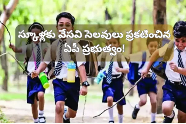 Summer Vacations 2024: స్కూళ్లకు వేసవి సెలవులు ప్రకటించిన ఏపీ ప్రభుత్వం!